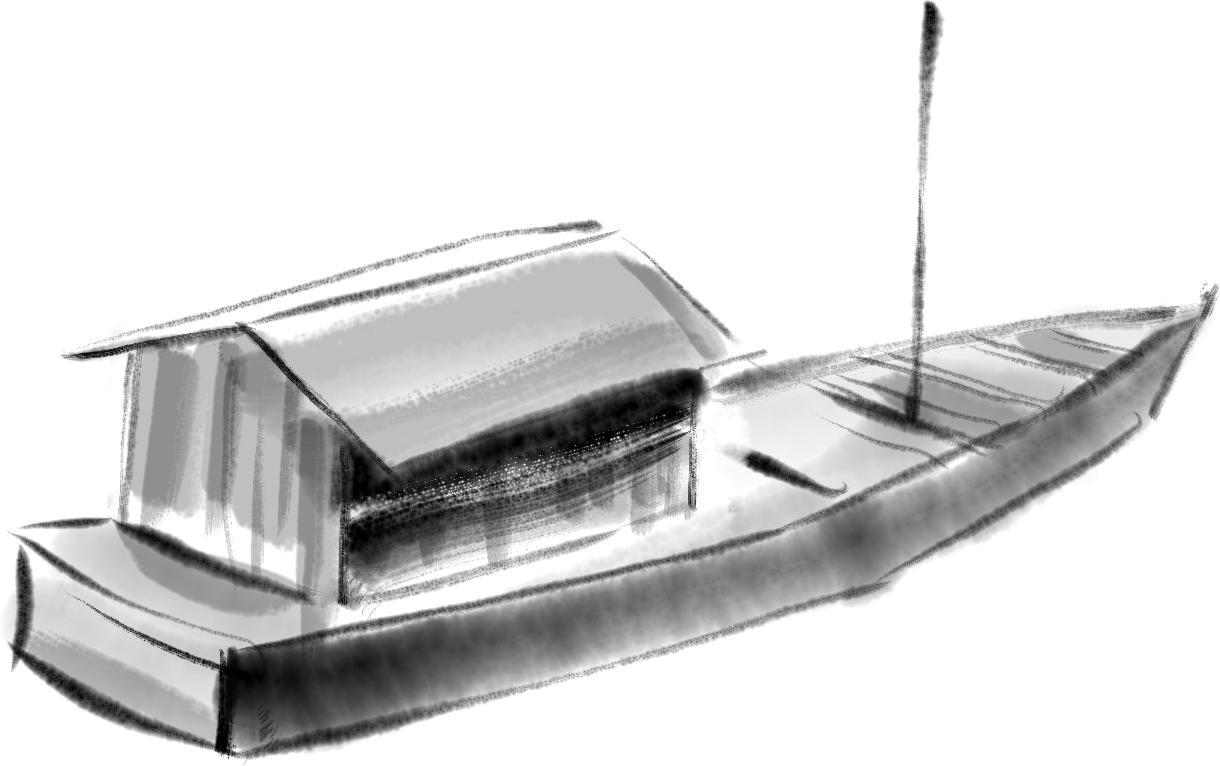 什么是纯天然橄榄油,东方神润橄榄油