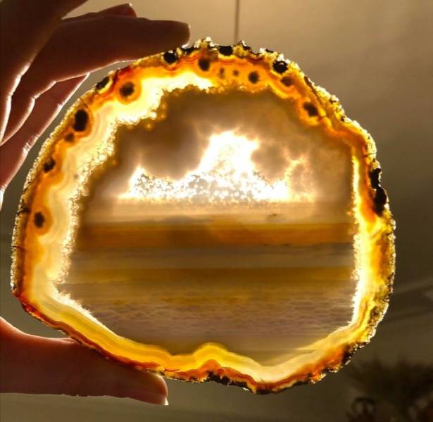 50件来自我们迷人星球的不寻常事物