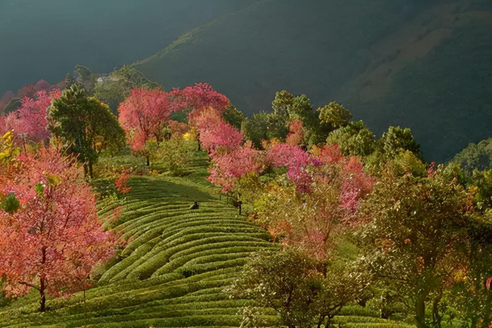 走进云南怒江篇,怒江大峡谷全景实拍