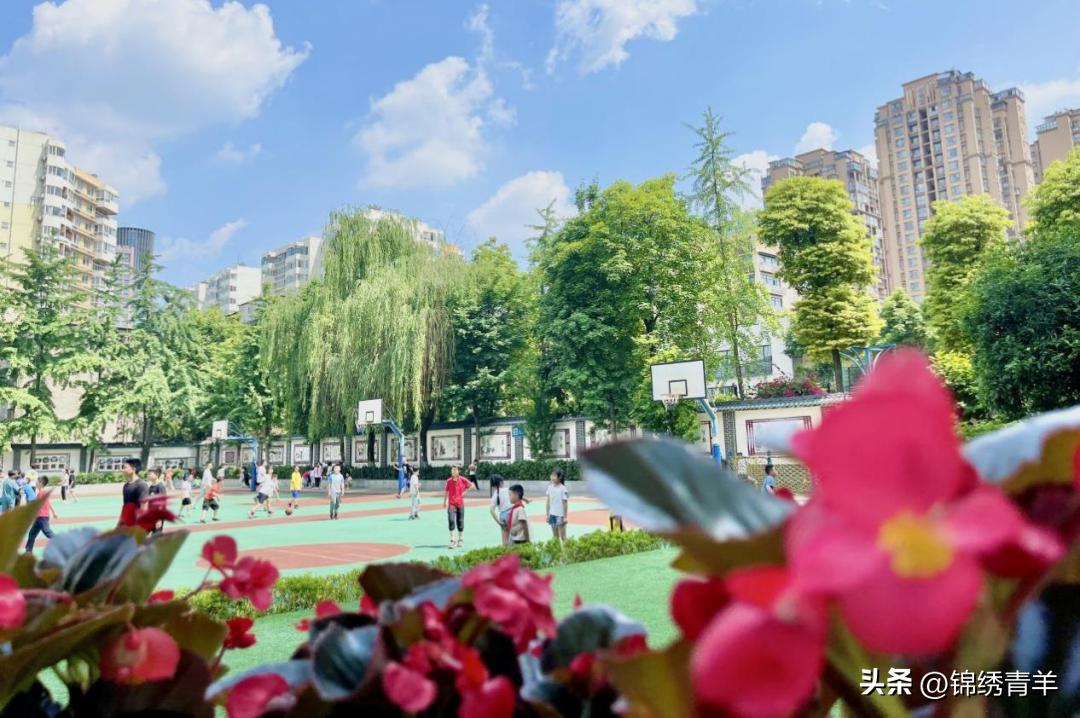 青羊区2024教师招聘,锦江教育局教师招聘最新公告