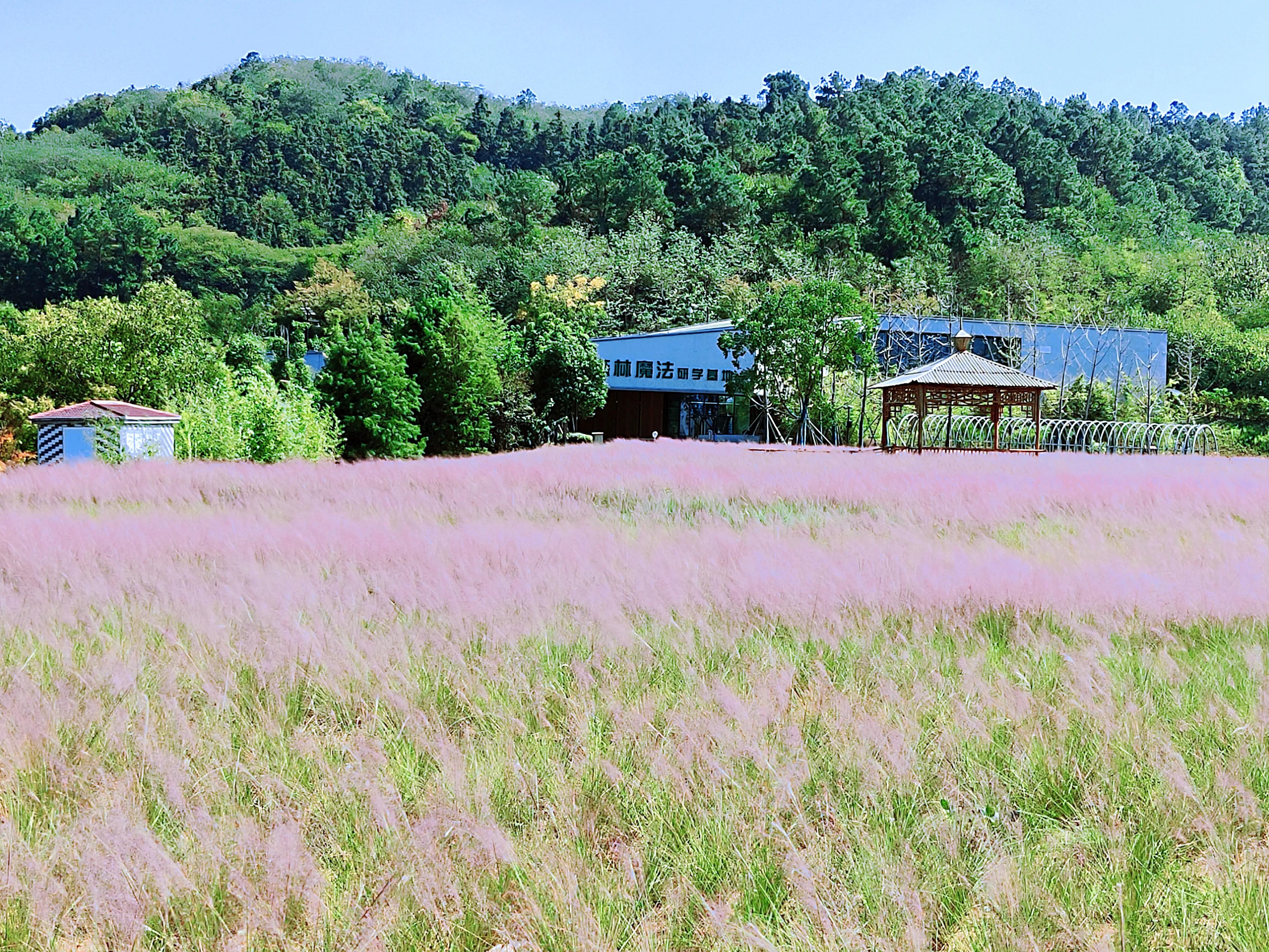 溧水无想山民宿预订,南京溧水无想山露营地点