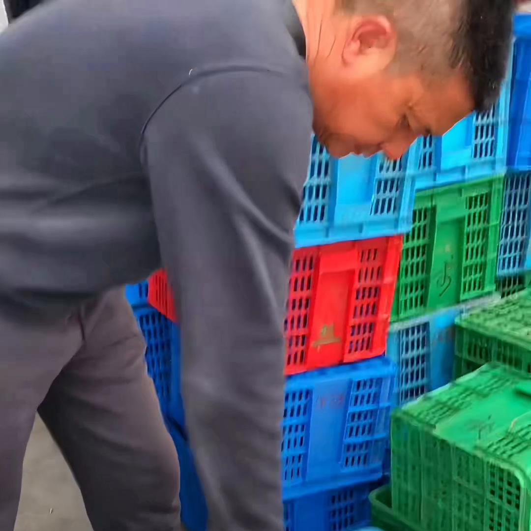 几个女人创业做什么好,农村人创业养殖水产