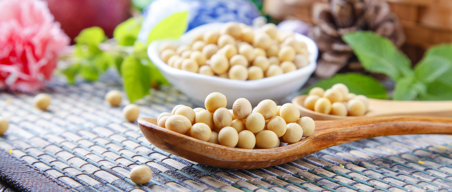 金龙鱼为何屡屡增收不增利,金龙鱼未来净利润上千亿