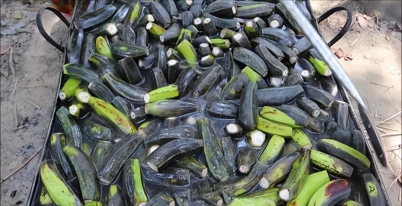 在中国用来喂猪的玉米芯,在中国喂猪的玉米棒子