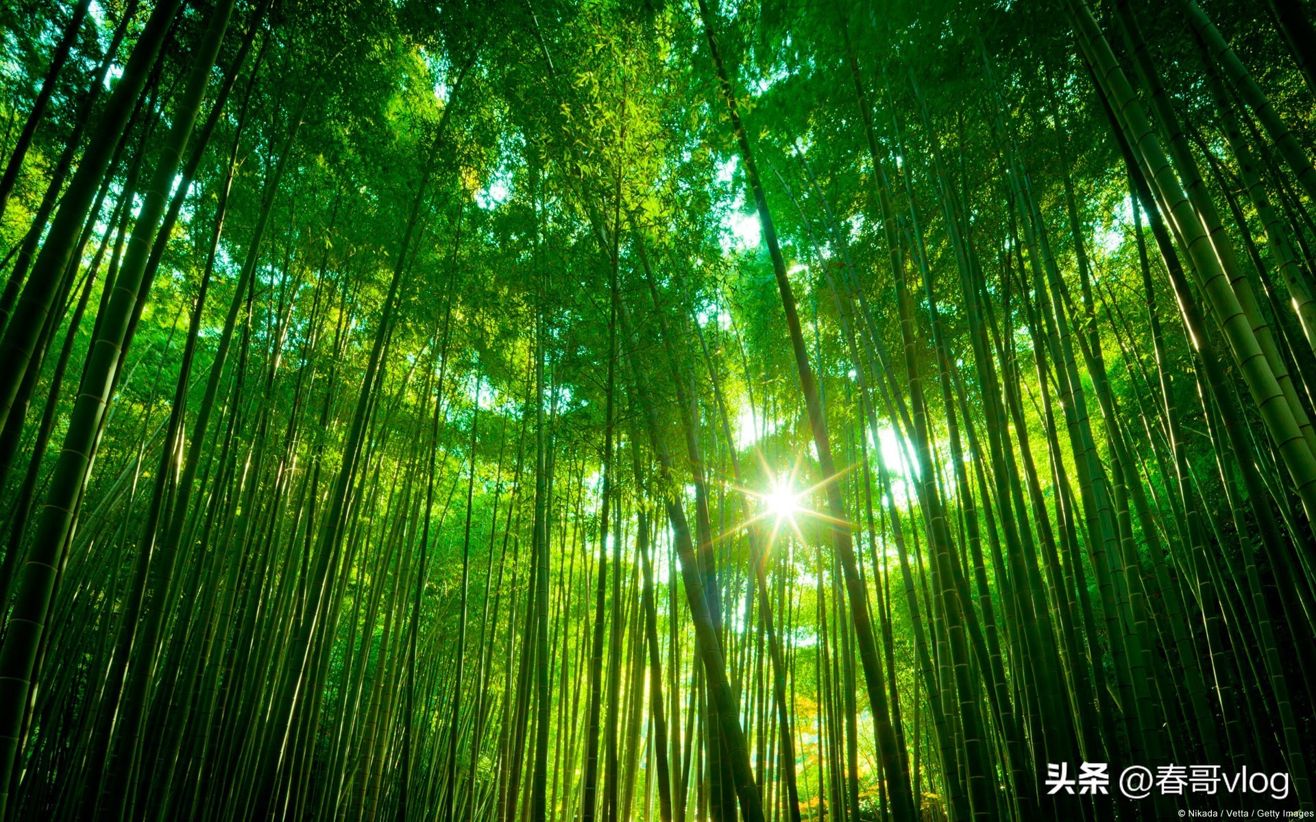 西藏风景高清手机壁纸无水印,4k超清壁纸无水印全面屏风景