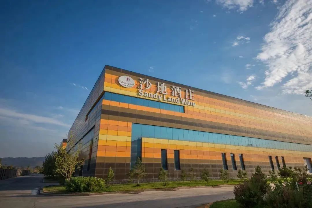 不喝葡萄酒的国家，捧不起大力神杯