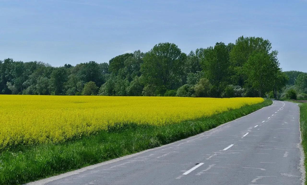 几乎每个人知道不忘初心方得始终,不忘初心方得始终要达到的成效