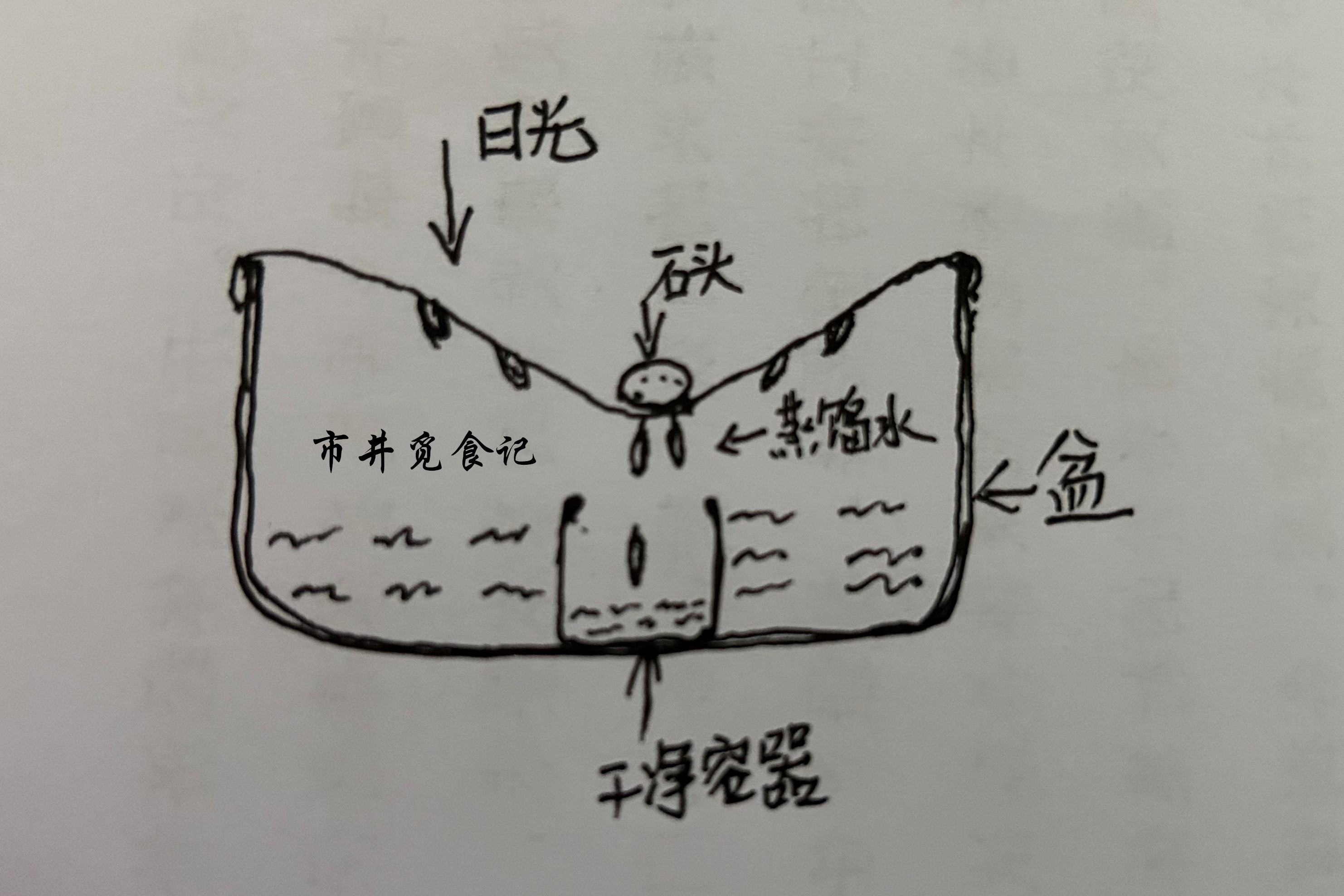 雨水能不能煮来喝,雨水可以补充淡水吗
