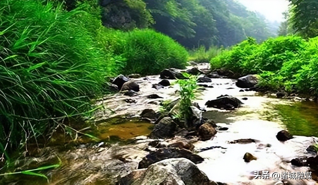 诸城古村遗址,山东诸城县志古村遗址