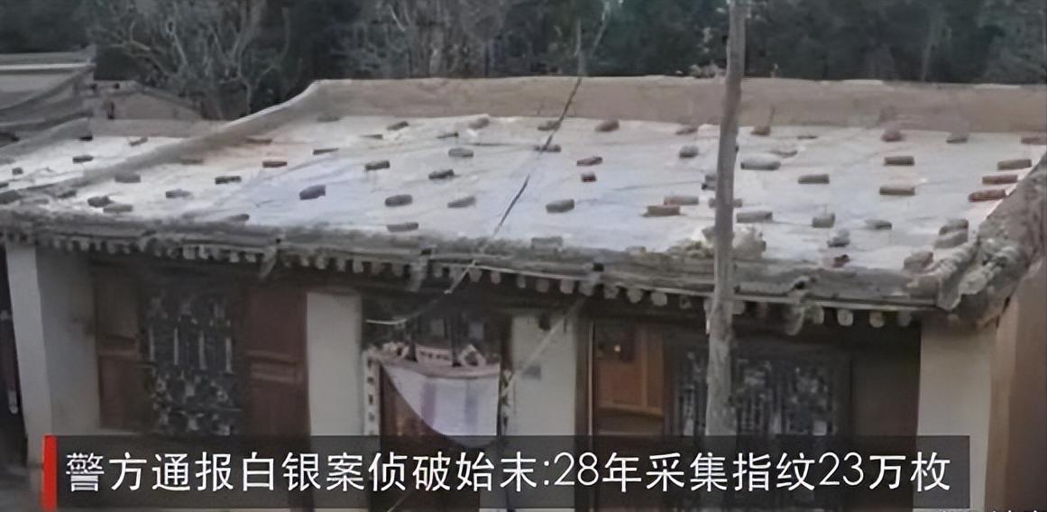 白银案纪实,案件解说白银案