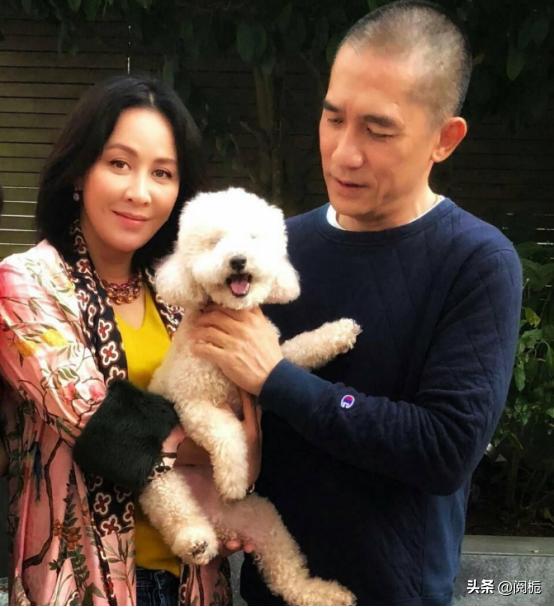 李健康辉为什么都是丁克,康辉李健丁克一族视频