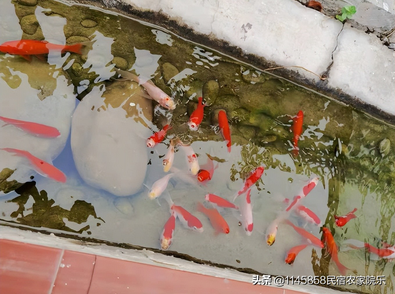 北京密云精品民宿小院,北京密云轻奢民宿