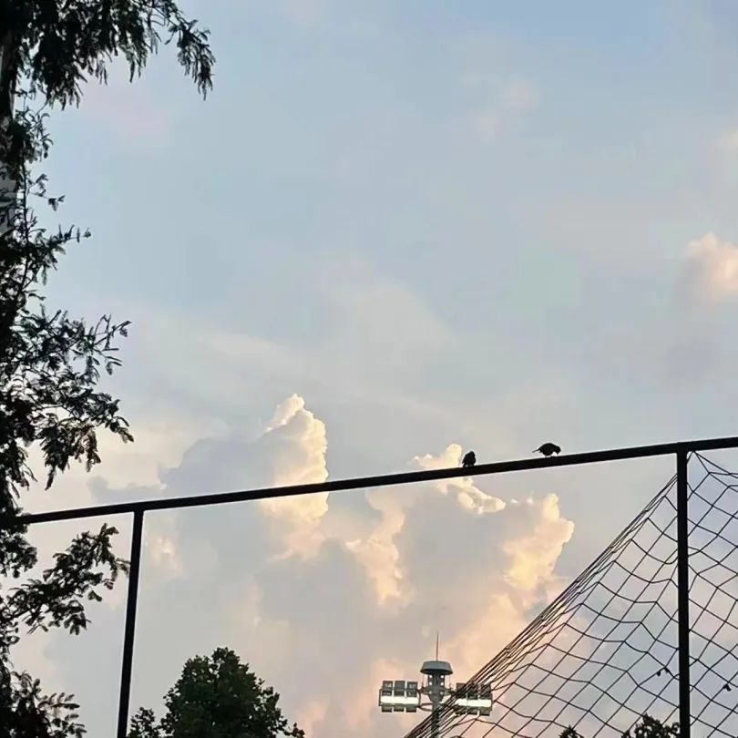 快来看看南理工的手账，与“理”一起过七月