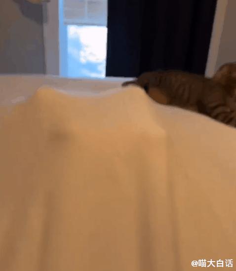 “男票打篮球裤子被队友扒了...”哈哈哈哈救命一整个社死了