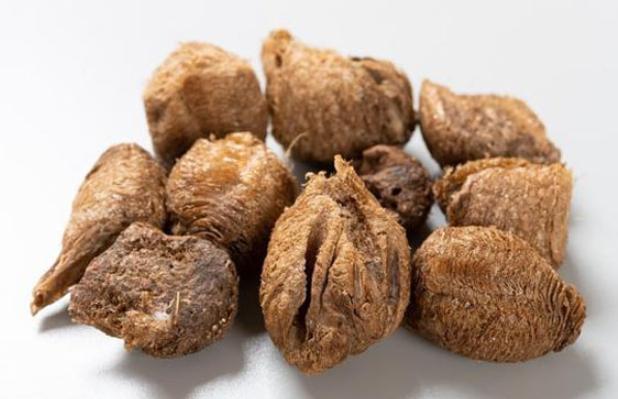 肾气虚夜尿多遗尿用什么药,夜尿多补肾健脾固精最好的药