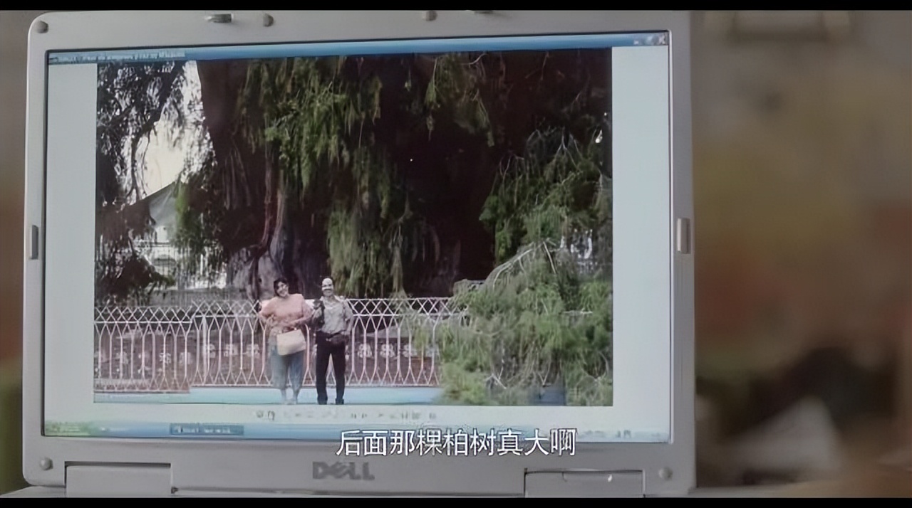 这样聊天的人才是真的在乎你,每天陪你聊天的人是真的爱你吗