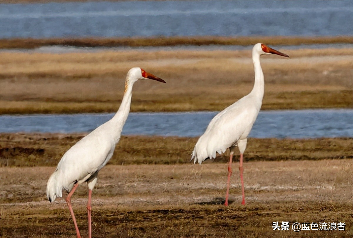 人口155万，吉林一个城，来的人说值得一观