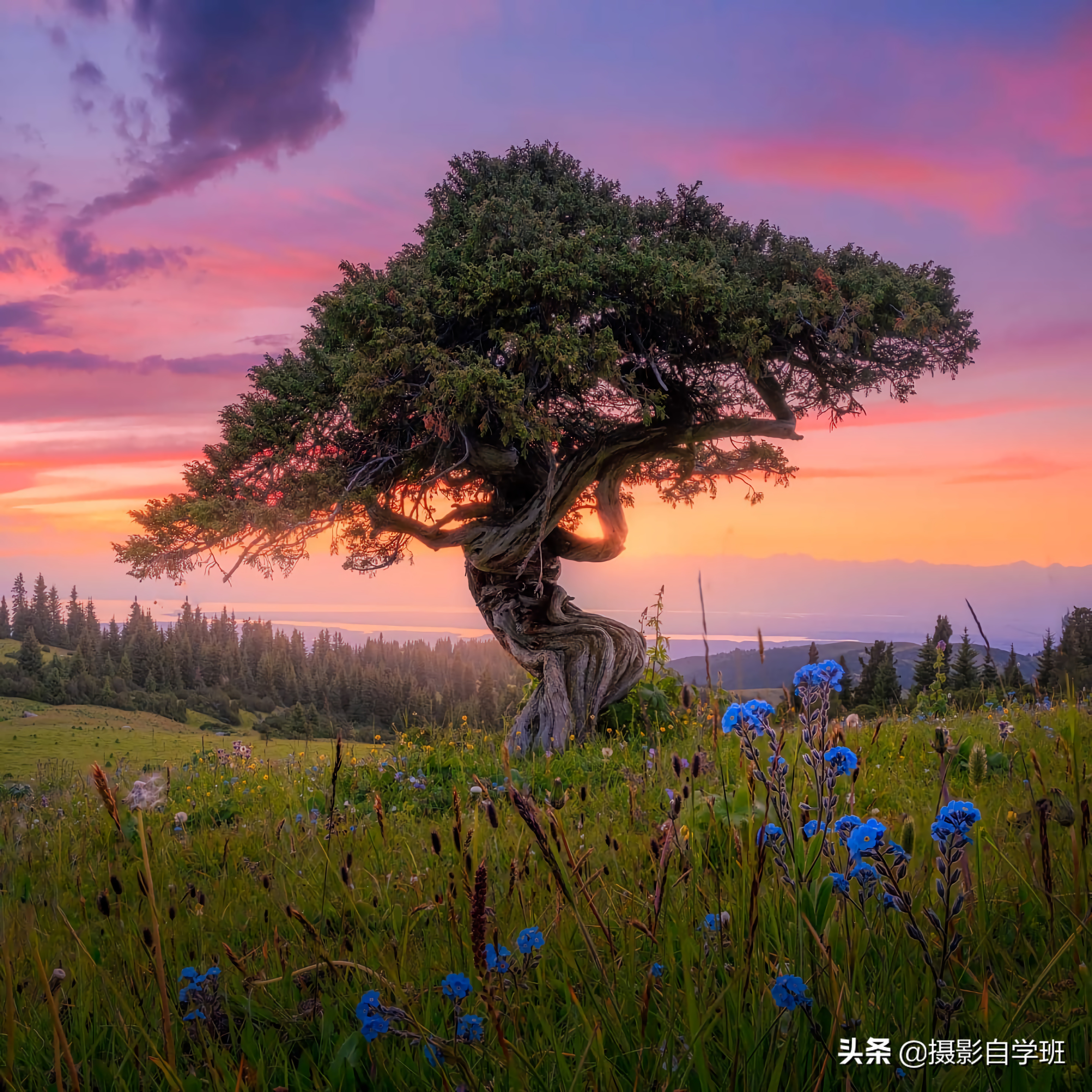 专业摄影师教你5个风光摄影技巧,摄影师拍风景教程