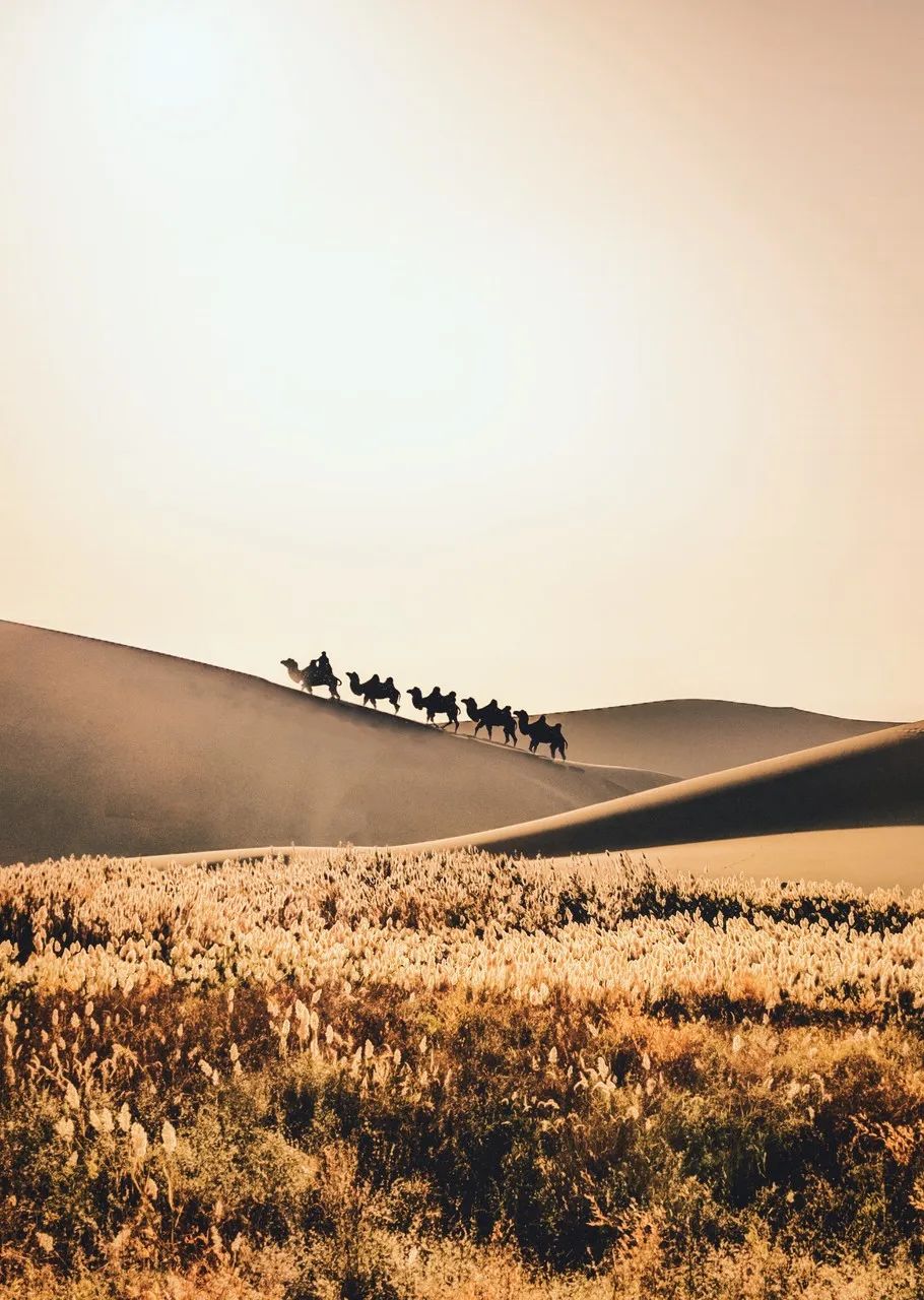 流失的珍贵壁画,一些壁画保留完整了几个世纪