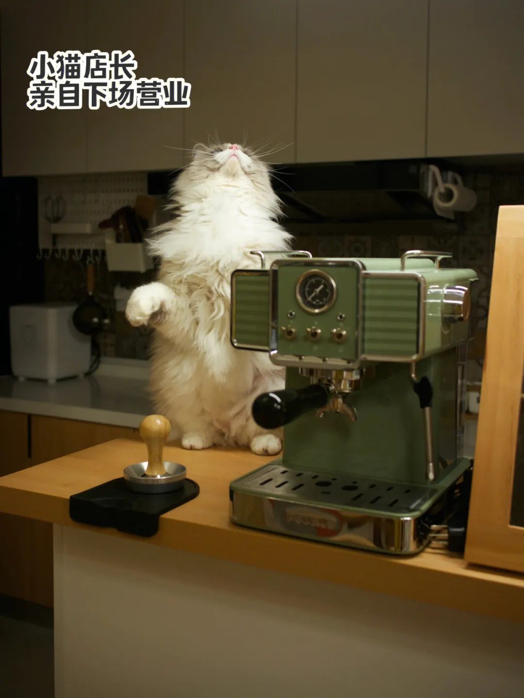 209m²只做两室?95后小夫妻说:这种浪漫,北上广的老破小给不了