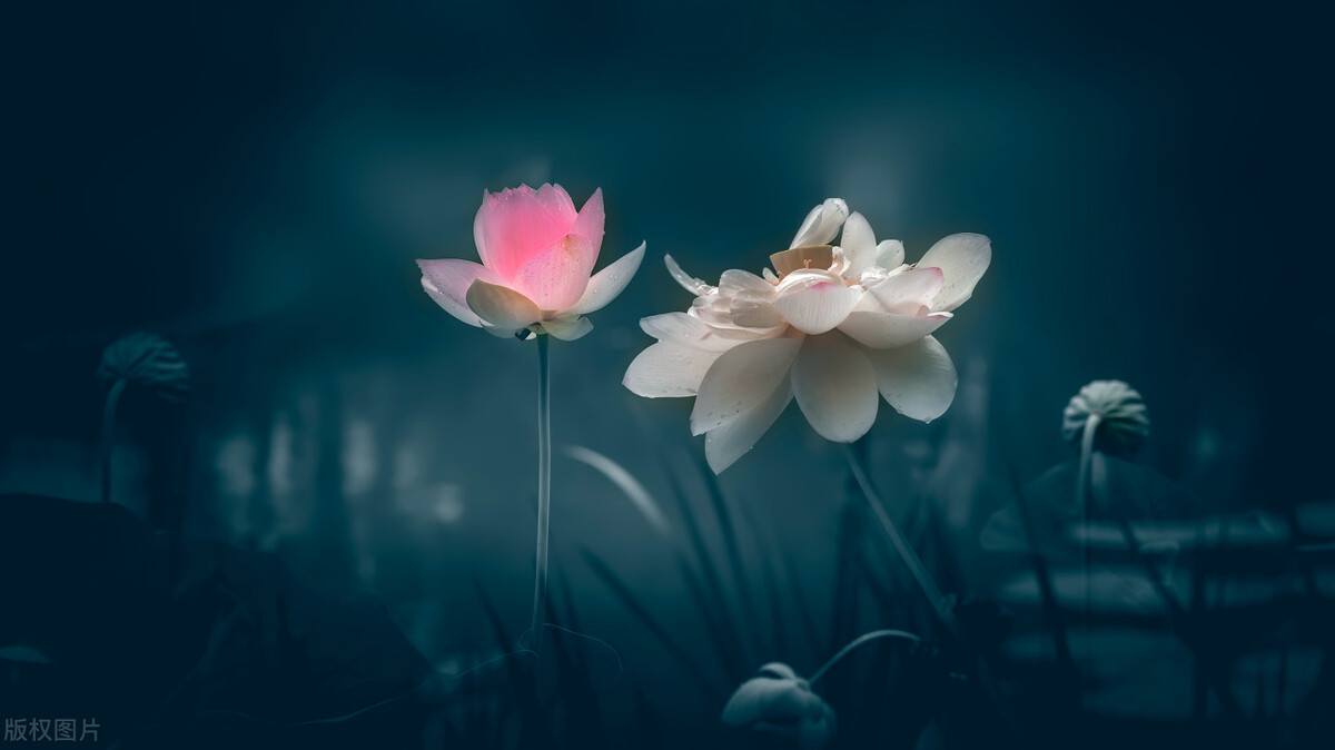 中考文言词汇大全及解释,中考文言文150个实词详解