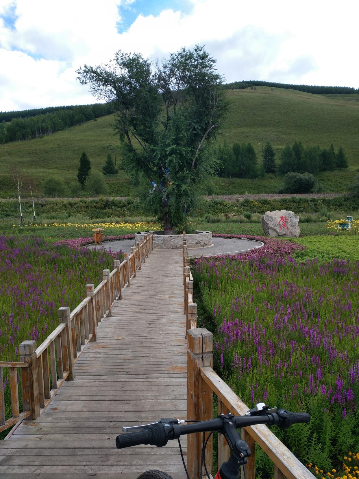 新手该骑什么自行车健身,自行车骑行多少公里才能有效锻炼