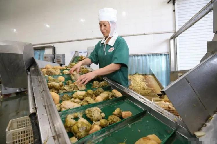 白菜价格“坐上火箭”，中国产泡菜成了救兵，韩国人：我太难了