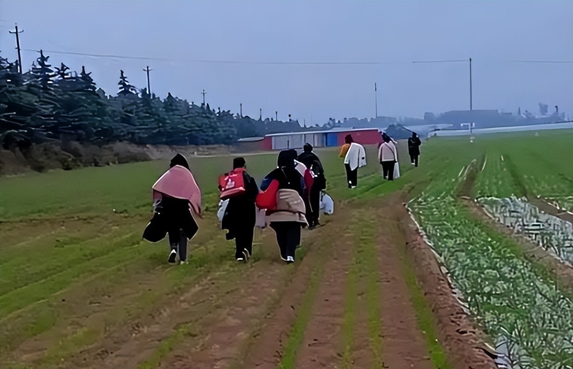 郑州富士康之前疫情现在什么样了,疫情过后现在郑州富士康状况