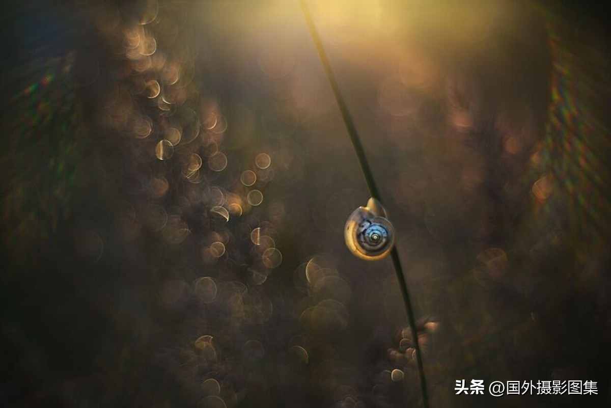 最美的景色秋天照片高清,夏天和秋天的绝美照片