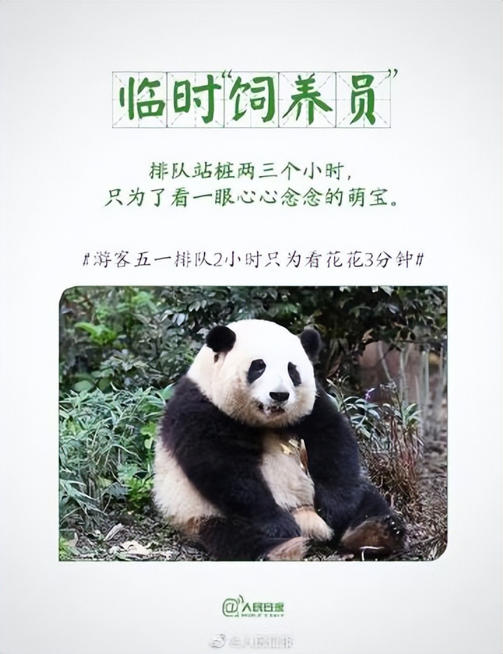 今年9大热门旅行方式你玩过哪种,全球最热门旅行