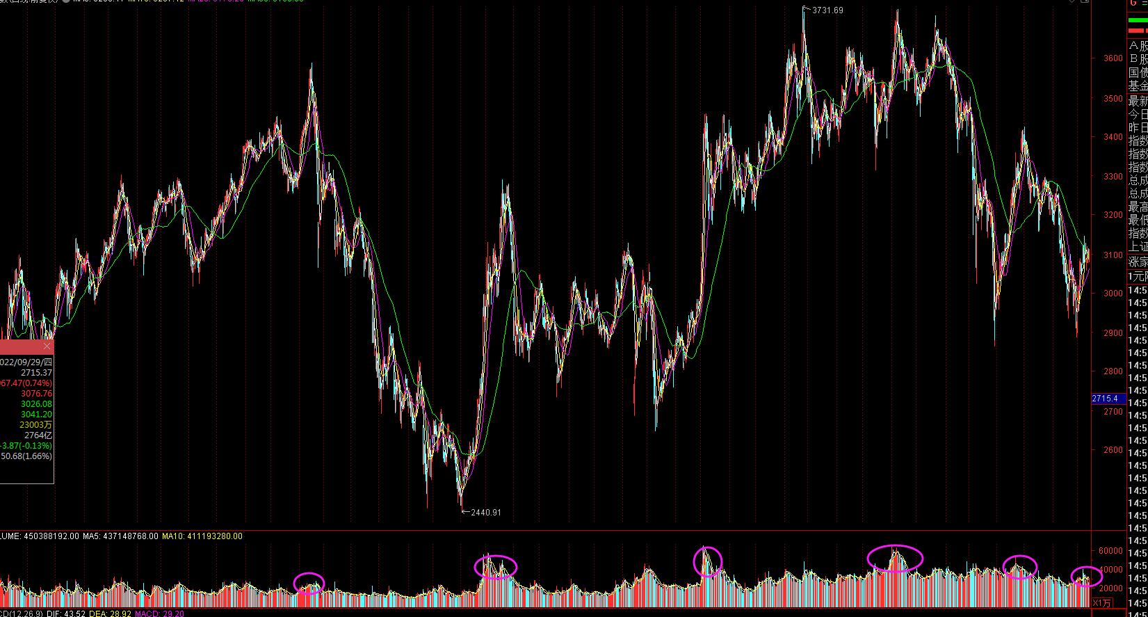 小散炒股记全文,小散炒股选牛股