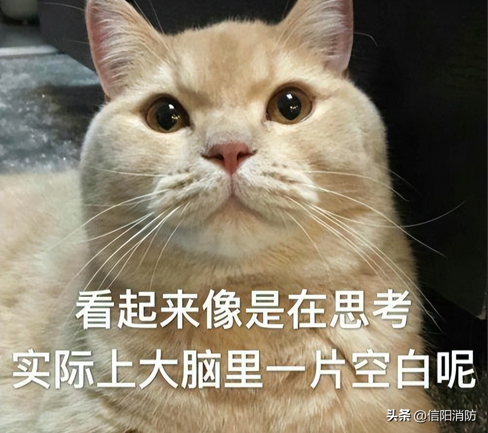 煤气软管爆炸怎么解决,煤气罐软管爆了