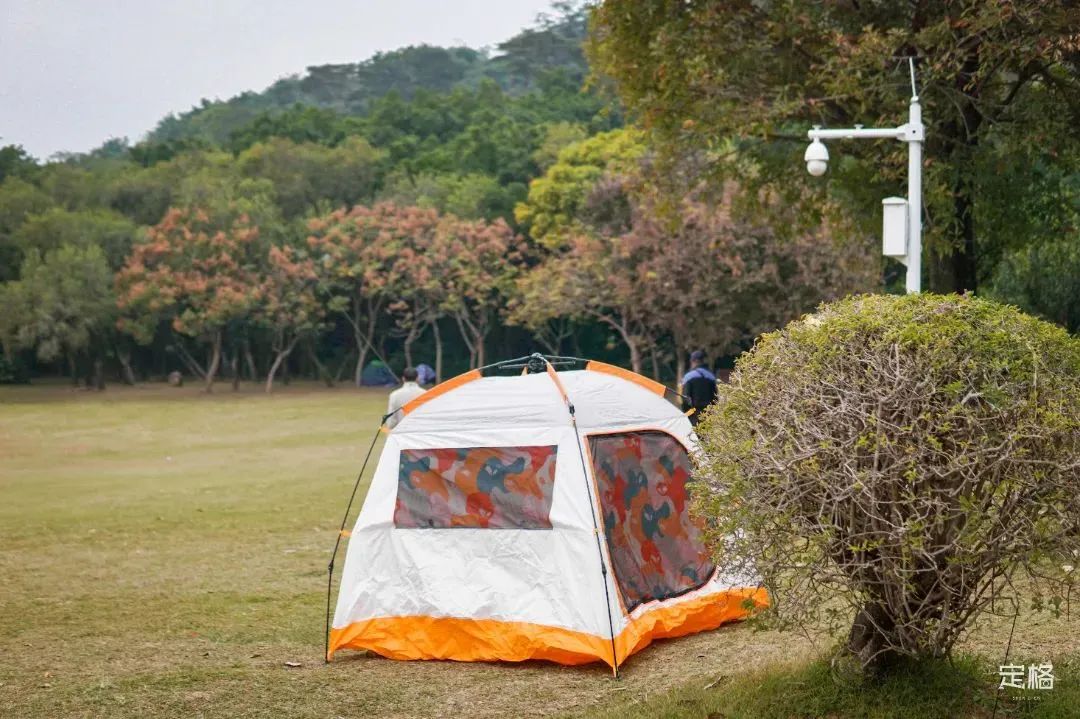 深圳地铁能直达的免费景点宝安区,深圳地铁直达免费玩的海滩