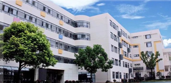 浦东牛娃升学路径,牛娃的教育规划