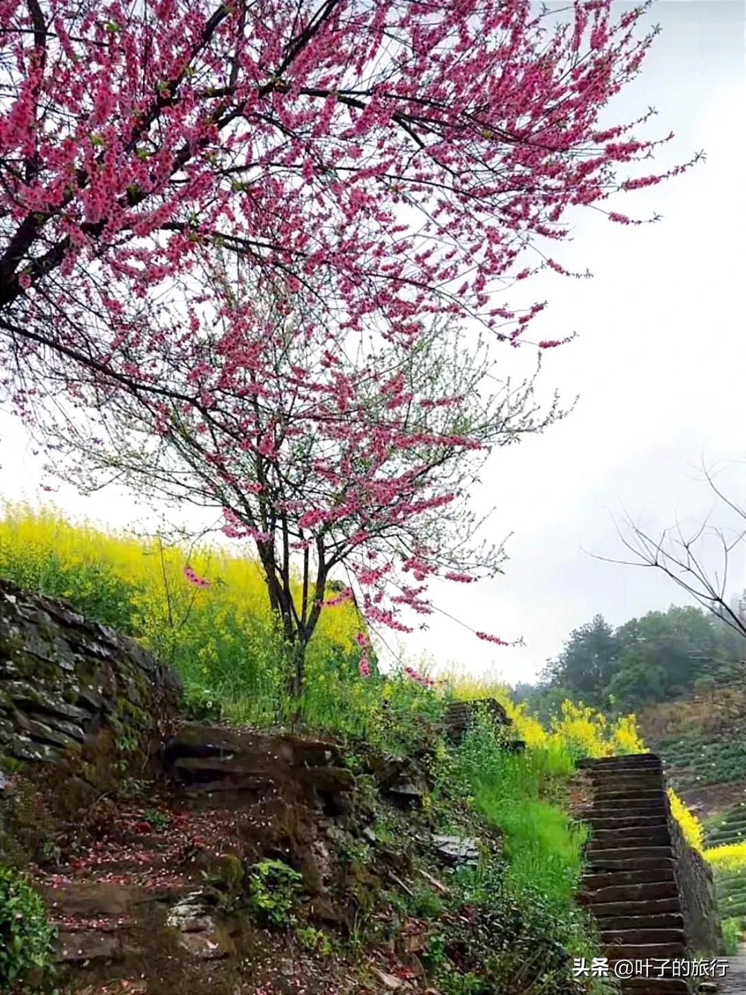 安徽黄山石潭风景,黄山旅游石潭