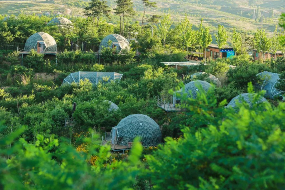 淄博适合冬天去的民宿,淄博旅游民宿攻略推荐最新