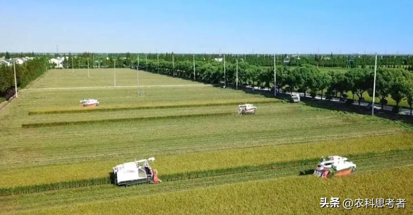家庭农场发展面临的困境及对策,家庭农场未来发展的对策与建议