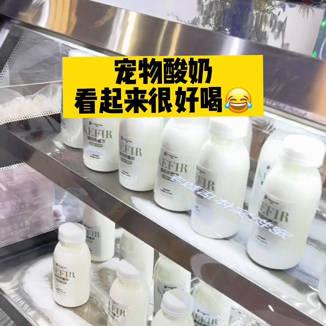 它博会vlog｜好吃好玩又好买！#新手养猫