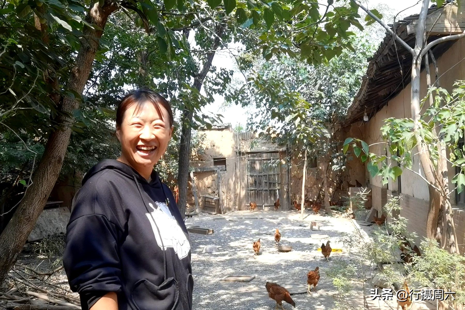 养鸡小两口,养1000只跑山鸡一年赚多少