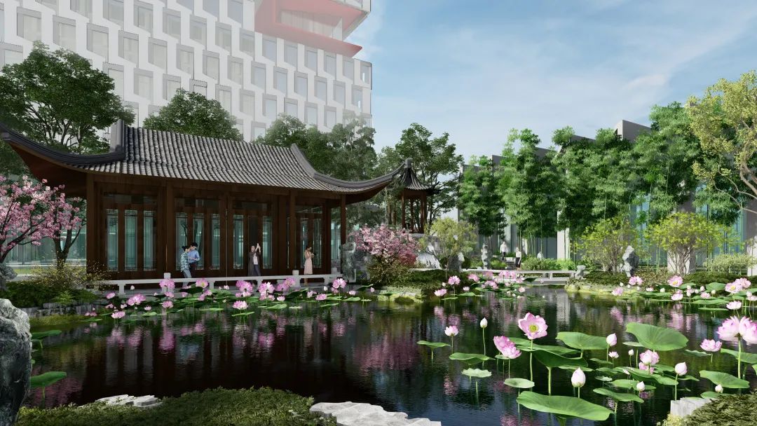 南大美景,南大美景图