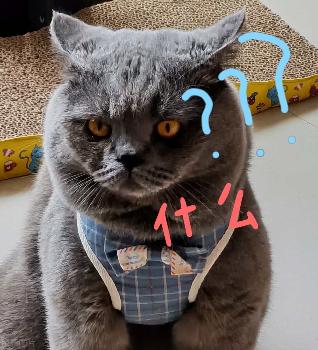 疫情过后留学生的价值,英国疫情期间大学费用高吗