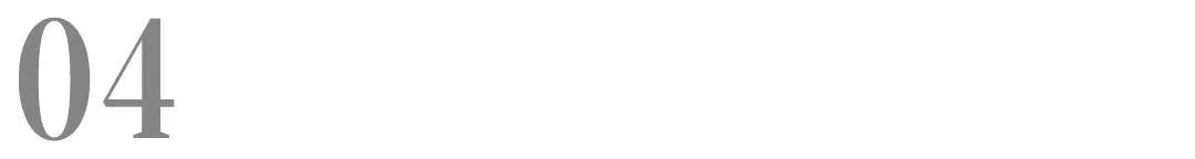 中誉宠物食品是中宠吗,中誉宠物食品有限公司