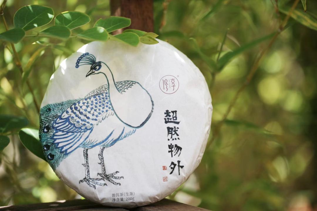 修享茶业钟海勇：以茶行修，打造中国茶文化的独特品牌之路