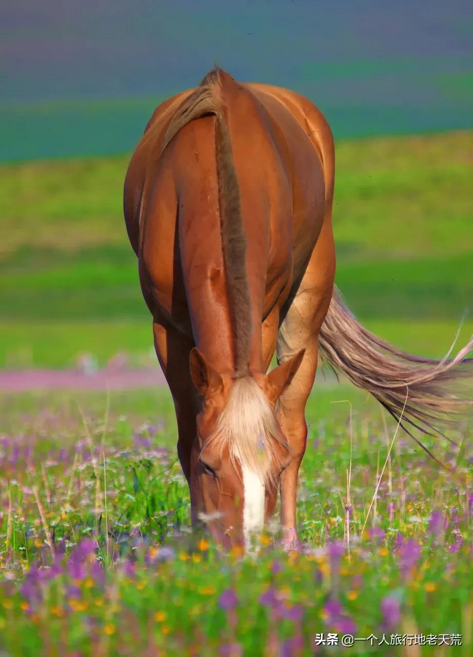亚洲旅游胜地甘肃,甘肃被评为亚洲最佳旅游地之首