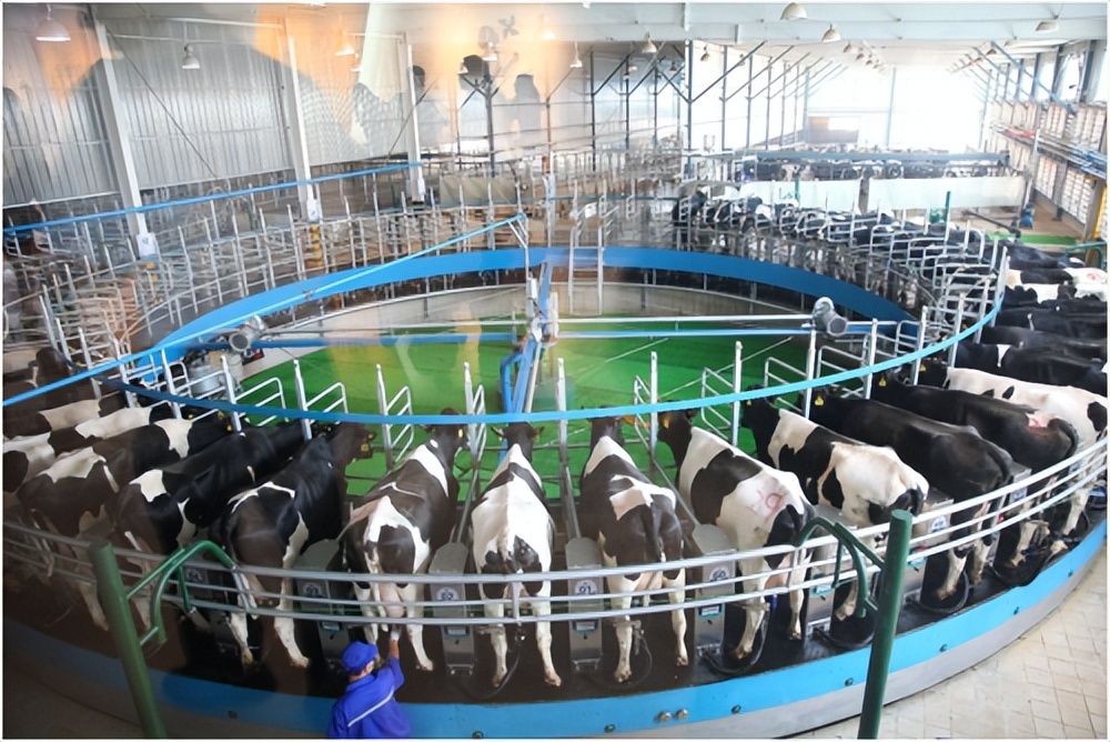 让祖国下一代喝上好奶粉图片,君乐宝奶粉坚守品质做放心好奶粉