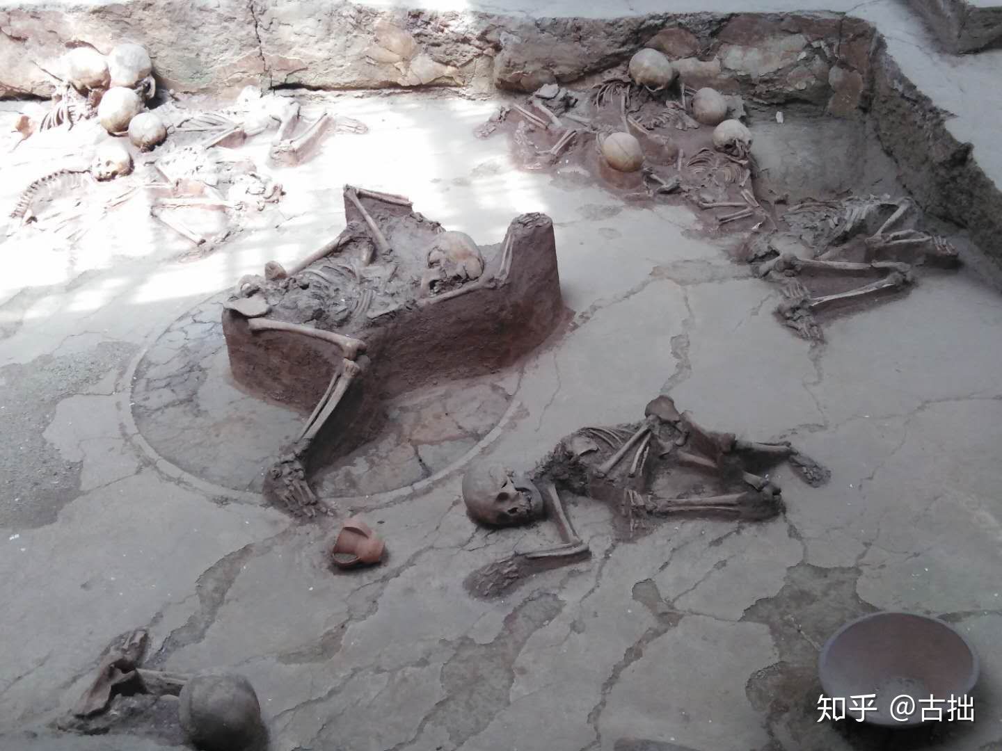 考古学家有多可怕,考古最可怕的东西是什么