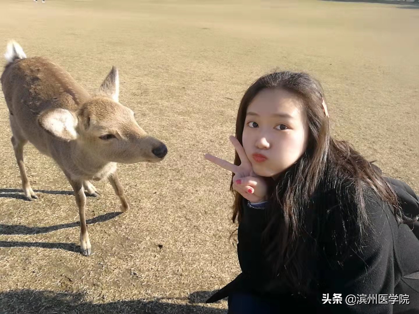 专业第一！428分！首批9位滨医学子梦圆北大