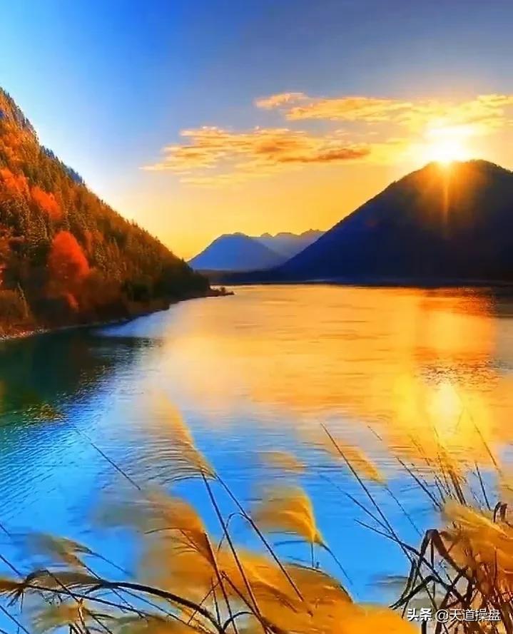 什么是牛市意思,什么是牛市熊市