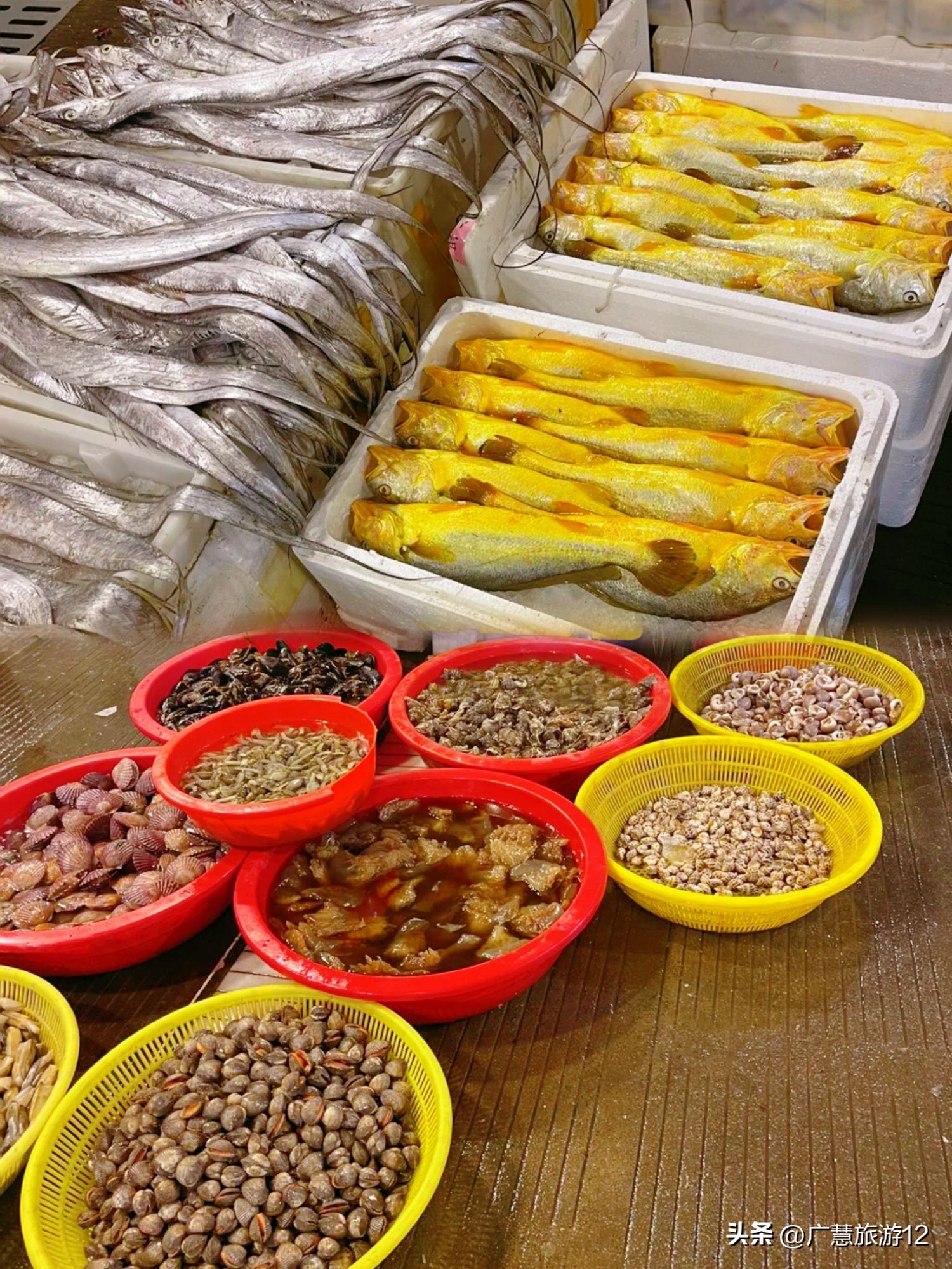 日照海鲜购买攻略，绝不踩雷！