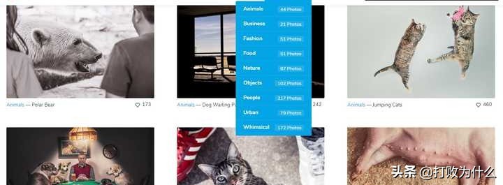 无版权的图片素材网站有哪些,无版权图片素材库真的无版权吗